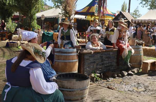 renaissance fair fun